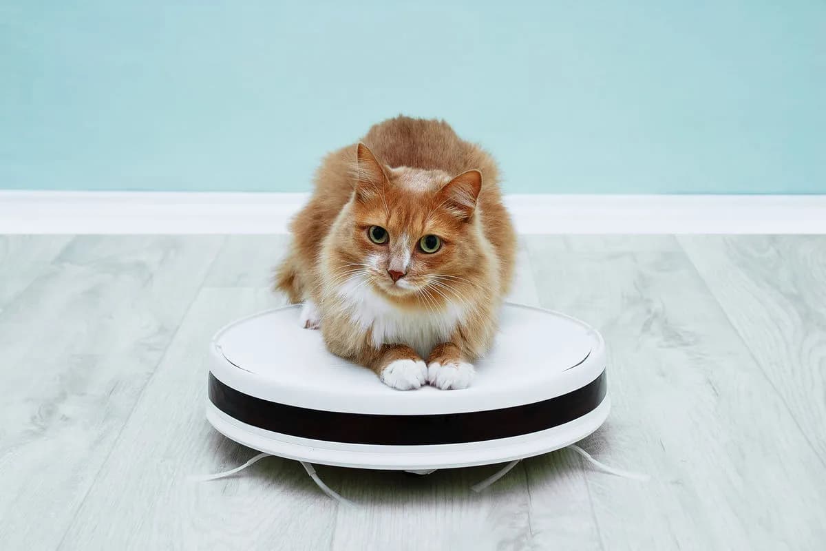 Электробытовые товары